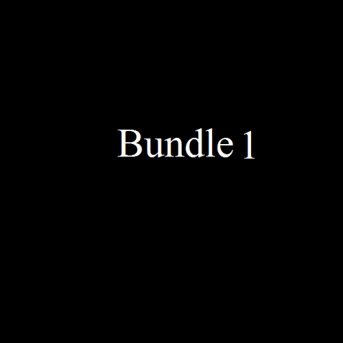 Bundle 1